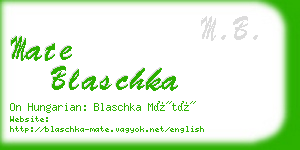 mate blaschka business card